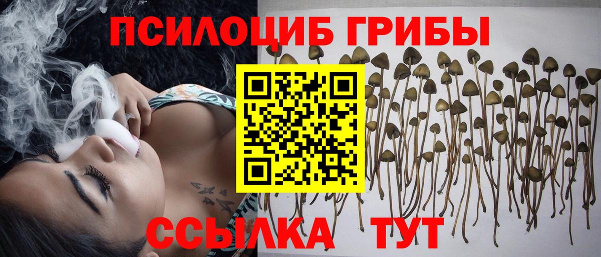 Рязань  Псилоцибиновые грибы прущие грибы  Вход с VPN 